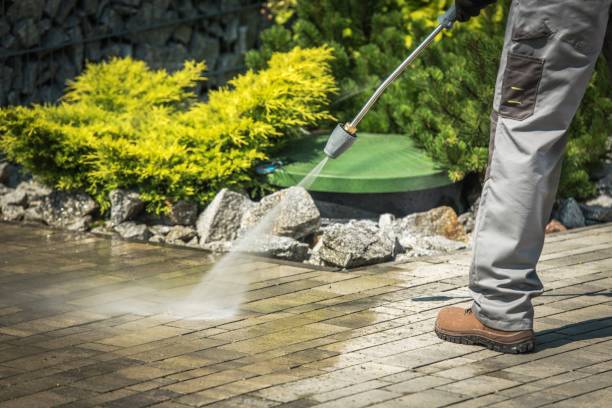 Best Dumpster Area Cleaning  in Centralia, MO
